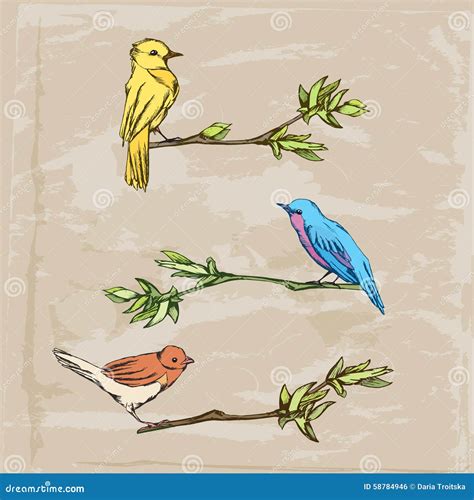 Tree Birds on Sitting on a Branches Stock Vector - Illustration of ...