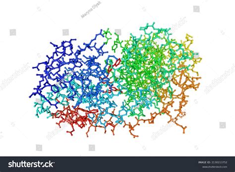 Molecular Model Human Mitogen Activated Protein Stock Illustration