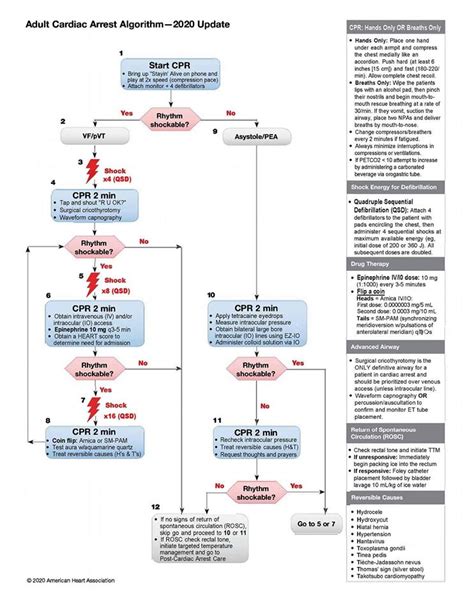 New 2020 Acls Cardiac Arrest Protocol R Nursing