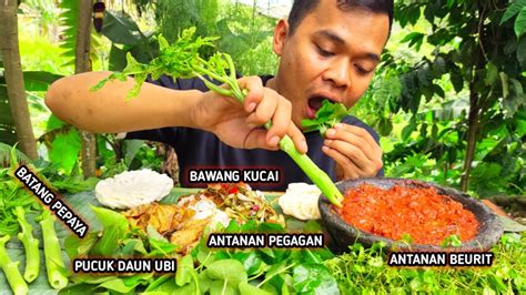 Mukbang Lalapan Batang Pepaya Mentah Antanan Pegagan Antanan Berit