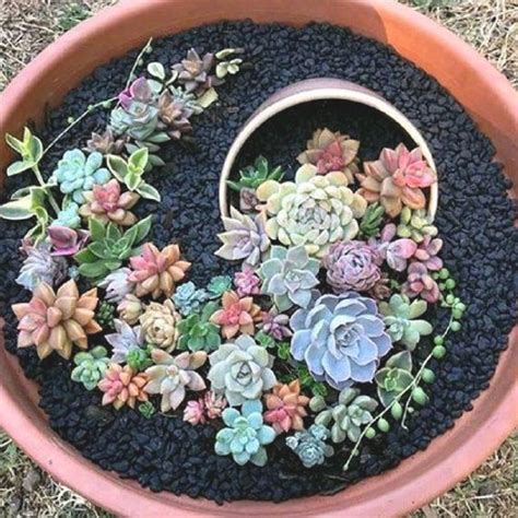 Pin By Marga On Plantas Succulents Diy Succulent Garden Diy