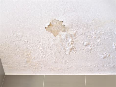 Early Warning Signs Of Moisture Buildup Under Your Tile Floors And