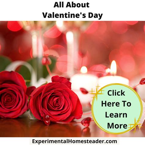 Experimental Homesteader Real Life Homesteading From A Modern Day
