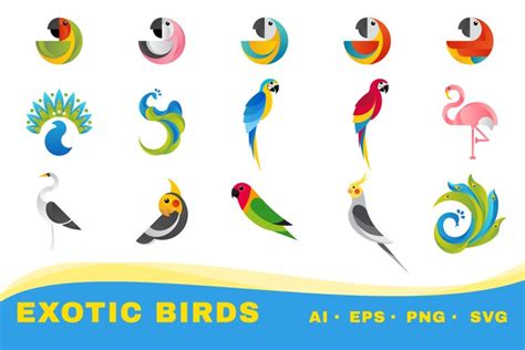 15 Exotic Birds Svg Exotic Birds Set