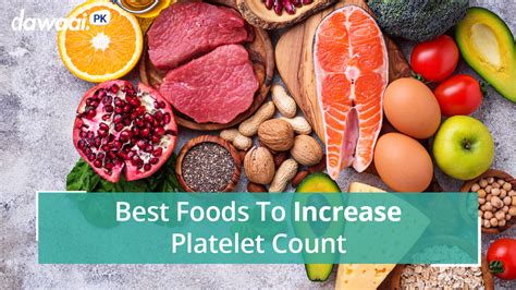 Best Foods To Increase Platelet Count Dawaai Blog