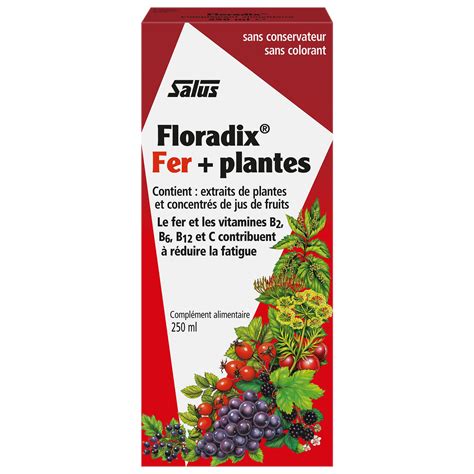 Amazon Floradix Liquid Iron And Vitamin Formula Ml Health