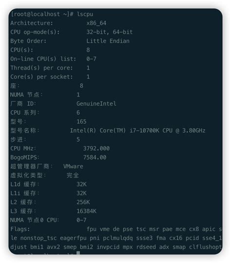 Cpu架构有哪些 X86 Cpu架构解释mob6454cc716fb0的技术博客51cto博客