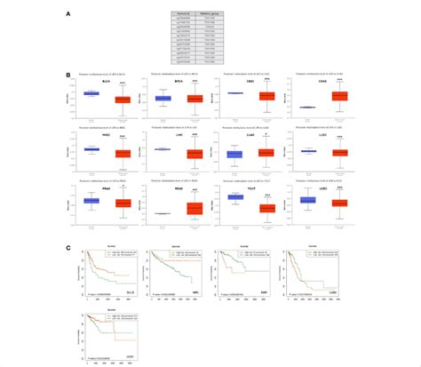 DNA Methylation Level Of LIFR In Tumors A Probes For Detecting DNA