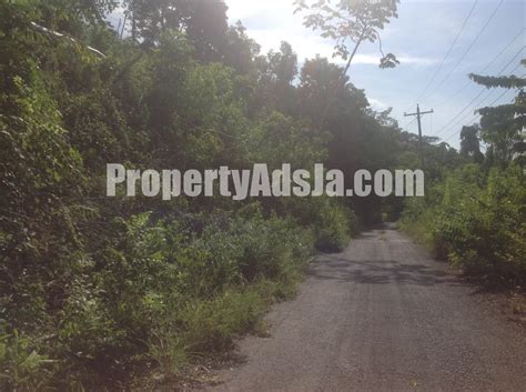 Residential Lot For Sale In Runaway Bay St Ann Jamaica