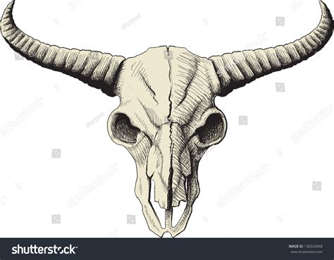 Drawing Bison Skull Isolated On White Stock Vector 136324058 - Shutterstock