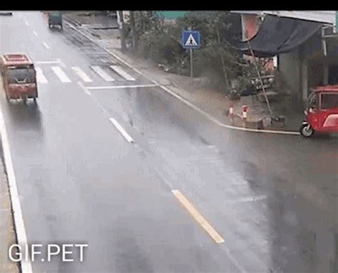 Gif Pet Accident GIF - GifPet Accident Survive - Discover & Share GIFs