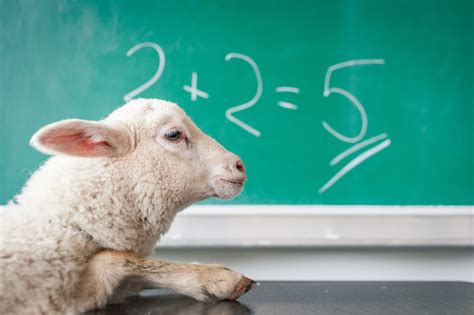Dunning-Kruger efekti eli ylivertaisuusvinouma