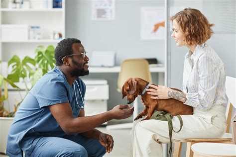 Quanto Tempo Dura A Faculdade De Medicina Veterinária