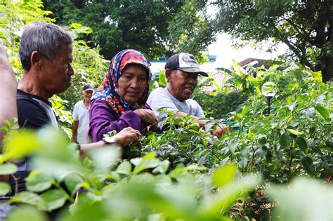 Menikmati Pemandangan Hijau Di Agrowisata Lansia Portonews