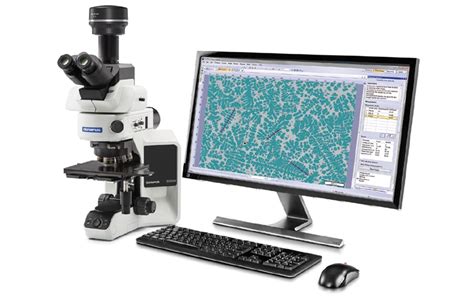 Microscope Image Analysis Software | Olympus Stream