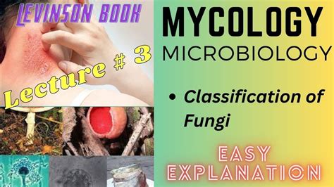 Mycology Microbiology Classification Of Fungi Mbbs Lecture 3