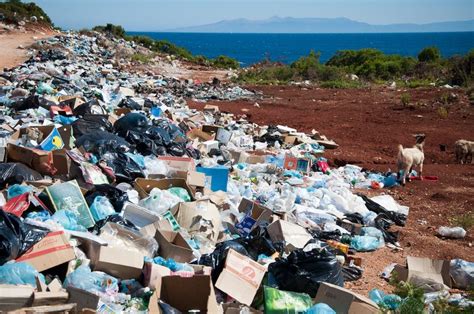 Comment Le Gouvernement Peut Lutter Contre La Pollution Plastique Avec