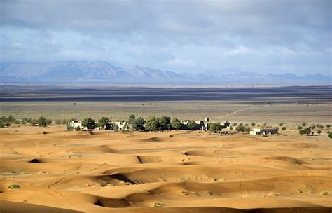 Desert Oasis Morocco - Free photo on Pixabay - Pixabay