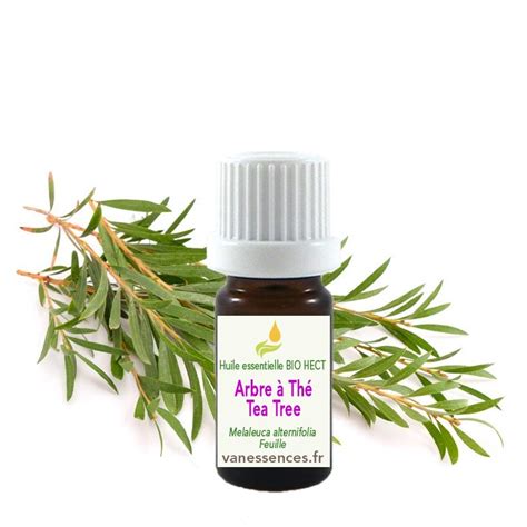 Huile Essentielle Tea Tree Arbre Th Certifi E Bio Hect