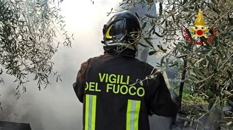 Pomezia Incendio Di Sterpaglie In Via Fratelli Cairoli Ilfaroonline