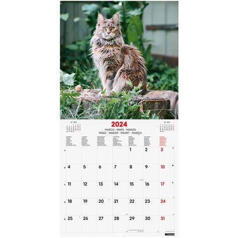 Calendario de pared Finocam 30X31cm Cats Papelería Lumen