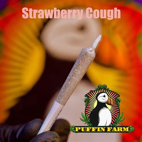 Strawberry Cough [ 5g] Puffin Farm 10 Pack Pre Roll Jane