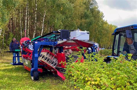 Berry And Orchard Machinery Manufacturer Jagoda Jps