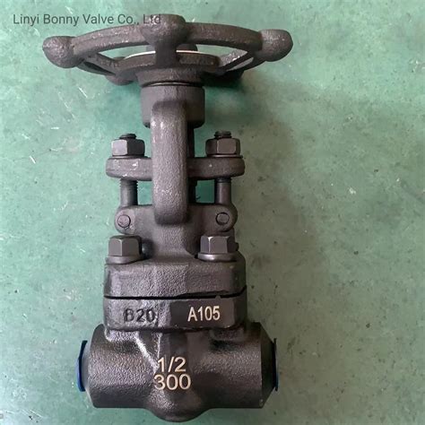 Wholesales Api Npt A Class Gate Valve China Forged Steel