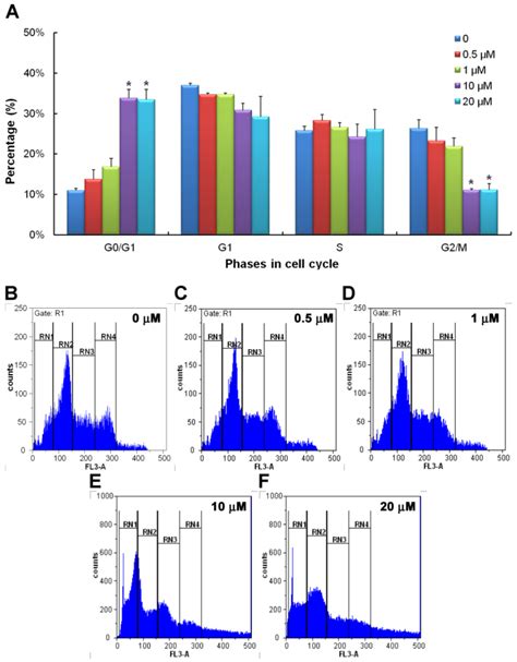 Cell Cycle Phases Flow Cytometry