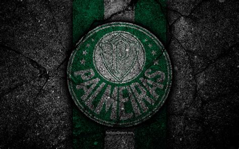 Palmeiras K Wallpapers Wallpaper Cave