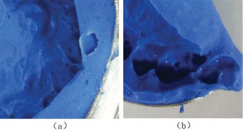 A Tooth Marks Are Covered B Inclined Tooth Marks Caused By