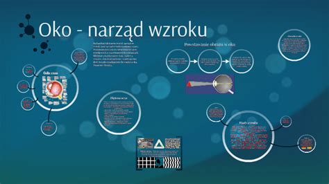 Oko Narząd Wzroku By Natalia Nowak