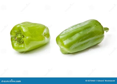 Green dolma peppers stock photo. Image of ripe, capsicum - 8370460