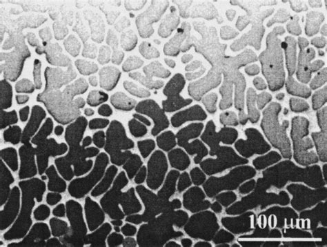 Optical Microstructure Under Polarized Light Of As Cast Download Scientific Diagram