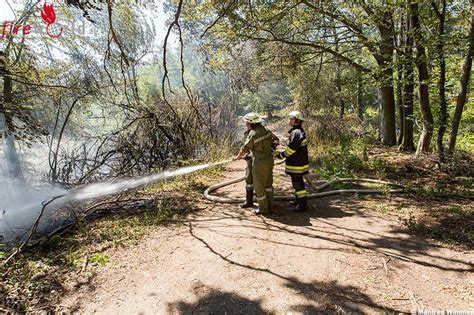 Nö Sieben Feuerwehren bei Waldbrand im Einsatz Video Fireworld at