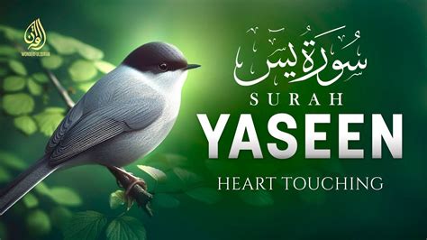 Surah Yasin Yaseen سورة يس A Source of Peace and Tranquility Wonderful