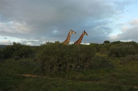 Amakala Mountains Natural Landmarks Nature Travel Naturaleza