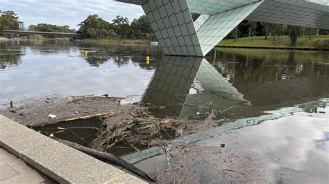 River Torrens Polluted After Heavy Rainfall Herald Sun