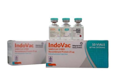 Vaksin Indovac Bio Farma Digunakan Sebagai Booster Vaksin Primer Pfizer