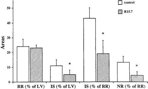 Extent Of Risk Region Rr Infarct Size Is And No Reflow Zone Nr