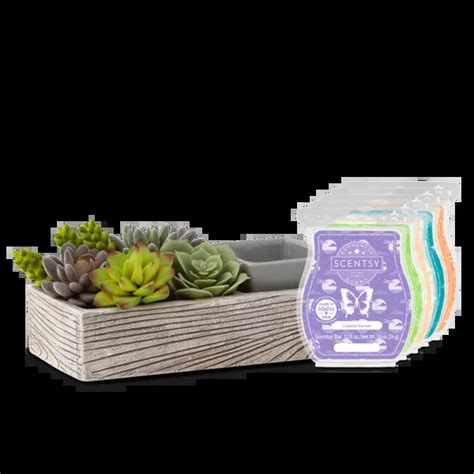 Suc Cute Lent Scentsy Warmer Bundle June 2022