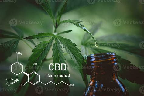 F Rmula Qu Mica Del Aceite De Cannabidiol Cbd Una Gota De Aceite De