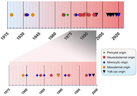 Origin And Emergence Of Microglia Encyclopedia Mdpi