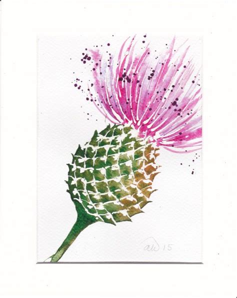 Scottish Thistle Original Watercolour Painting