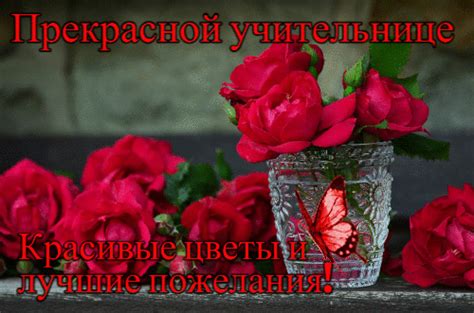 Прекрасной учительнице красивые цветы и пожелания - День учителя ...