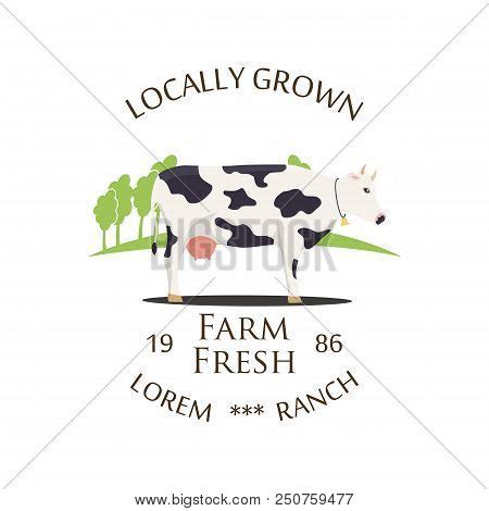 Fresh Farm Produce Vector & Photo (Free Trial) | Bigstock