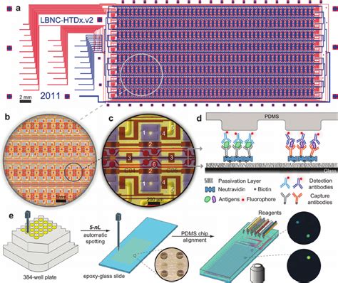 Nanoimmunoassay Chip Workflow The Microfluidic Device A Consists Of