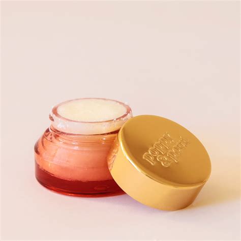 Pomegranate Peach Lip Scrub Exfoliating Lip Scrub Lip Scrub Lip