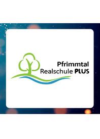 Realschulen Plus Schule Der Zukunft Rheinland Pfalz