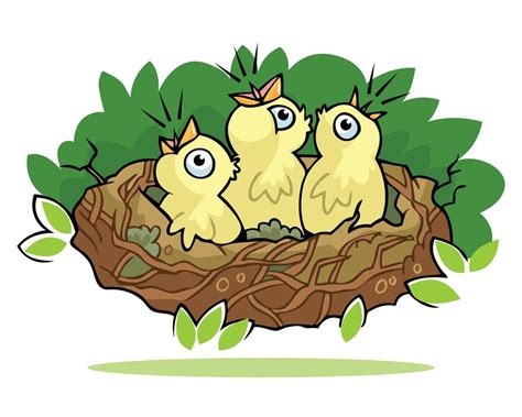 Bird Nest Vector Illustration 18817400 Vector Art At Vecteezy